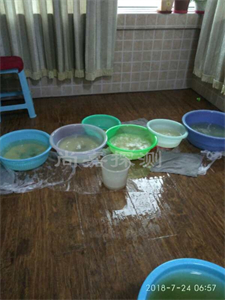 莘县室内漏水检测