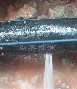 莘县消防管道漏点探测